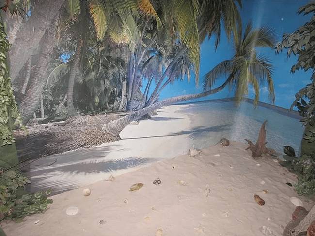 Belefáradtál az űrutazásba? Semmi gond. Néhány lépéssel odébb máris a tengerparton találhatod magadat.