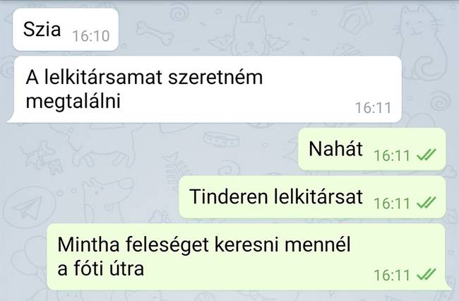 20 üzenet, ami bizonyítja, hogy a társkeresés néha kellemetlenül bonyolult