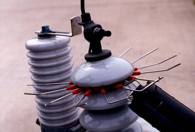 elektromos vezetek allatriaszto