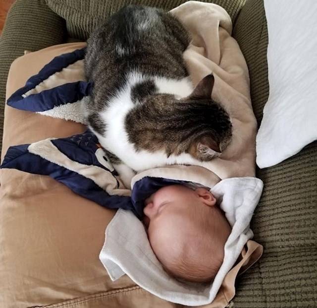 „A baba sírt, amíg a fürdőszobában voltam, majd hirtelen abbahagyta. Amikor bemenetem a szobába, megláttam, hogy miért."