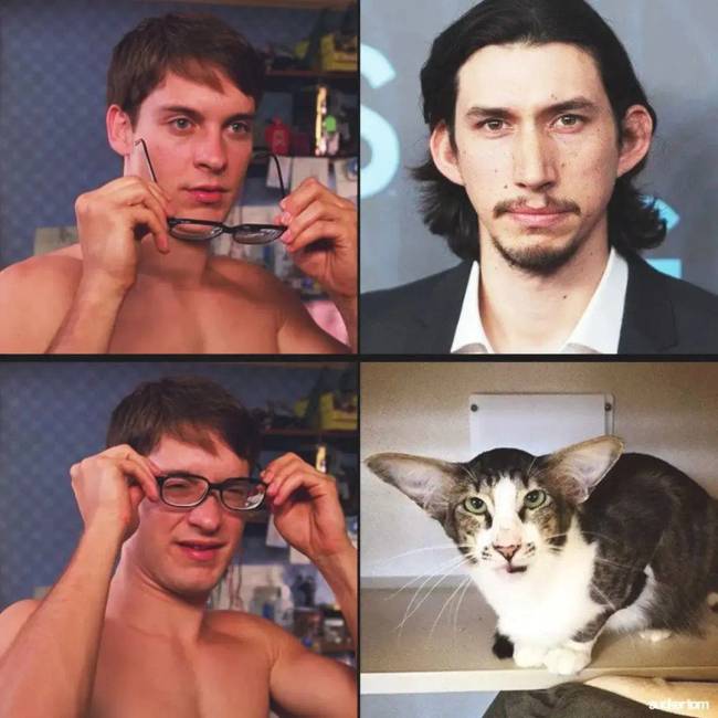 Hírességek hasonmásai 046