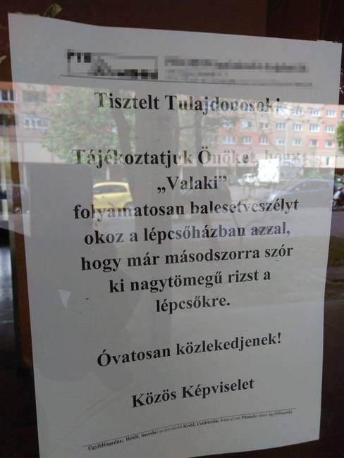 Ki lehet az az állat?!