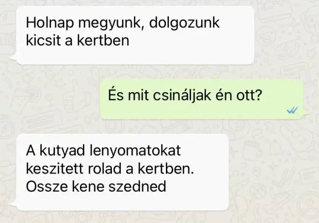 Anyukás üzenetek 018