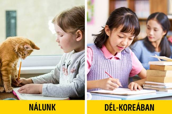Dél koreai oktatás