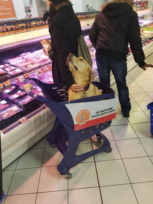 Bevásárlókocsi kisállatoknak, Olaszországban.