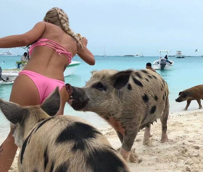 Amikor csak egy szép képet akarsz a Bahamákon, ehelyett: