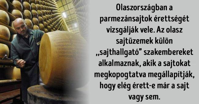 Intelligens kérdések