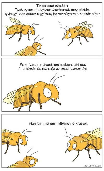 18 képregény, ami segít tisztázni az állatok félreértett gondolkodását