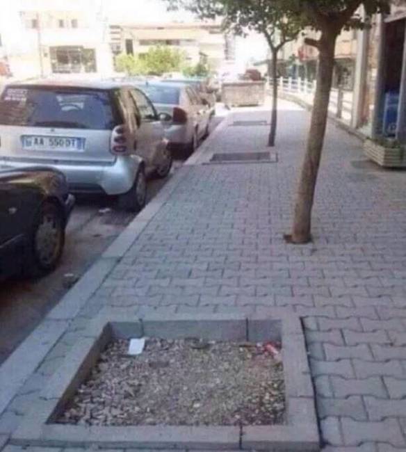 Lázadó fák vagy kétbalkezes munkások?!