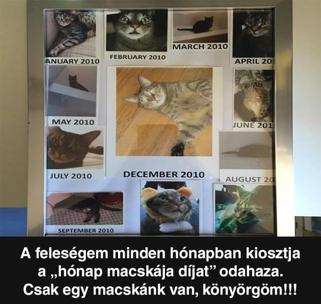 13 fotó, ami bizonyítja, hogy a nők és a férfiak tényleg más bolygóról származnak