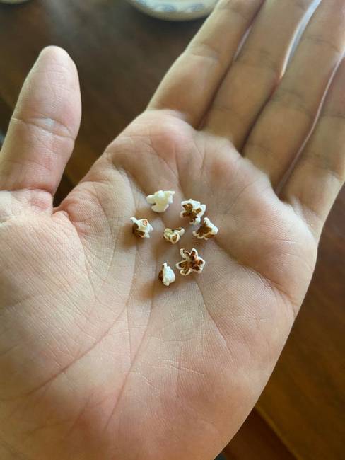 Ha mikróba rakjuk a madáreledeleket, mini-pattogatott kukoricát kaphatunk.