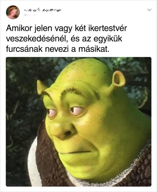 Ikertestvér veszekedés