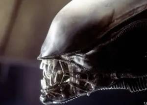 Alien (1979)