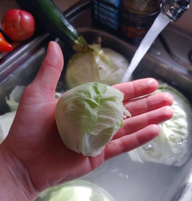 „Ilyen apró káposzta termett a kertemben."