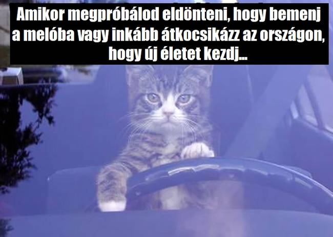 Kora reggeli dilemmák.