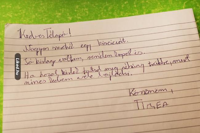 Már a sima cica sem elég, betanított macsek kell.