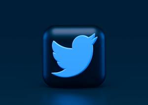 Twitter/X