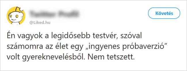 Ingyenes próbaverzió