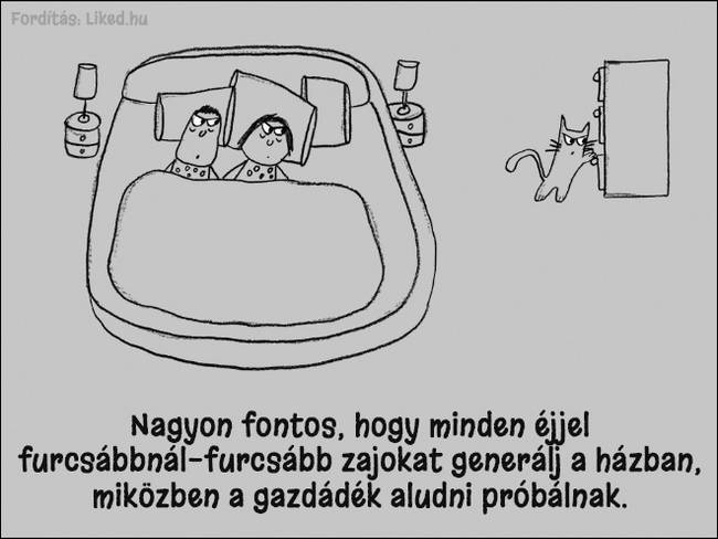 20 humoros illusztráció, ami megmutatja, hogyan kell jó macskának lenni