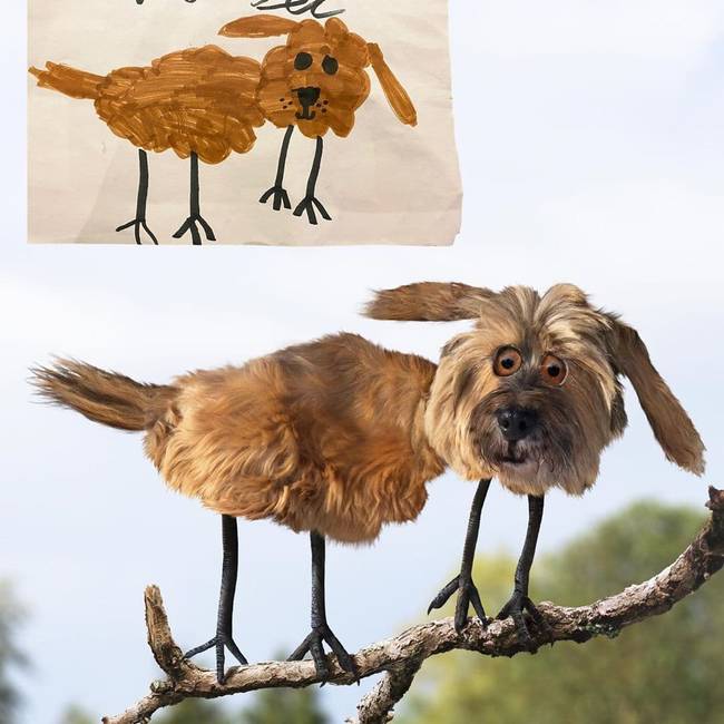 Kutya, madár lábakkal.