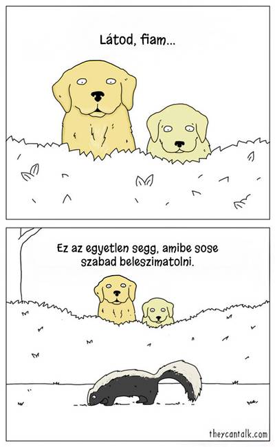 20 vicces illusztráció, ami bemutatja a kutyák és macskák furcsábbnál-furcsább szokásait