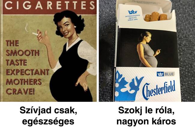 A dohányipari cégek szándékosan titkolták el az igazságot a dohányzás veszélyeiről.