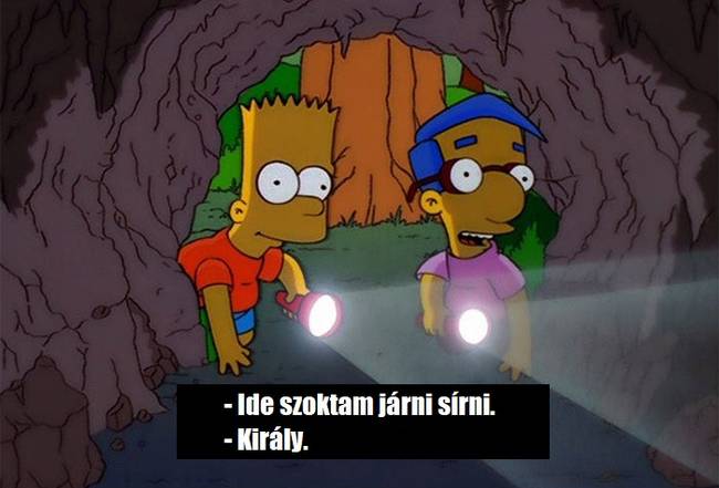 Amikor megkérnek, hogy vezesd körbe az új kollégádat.