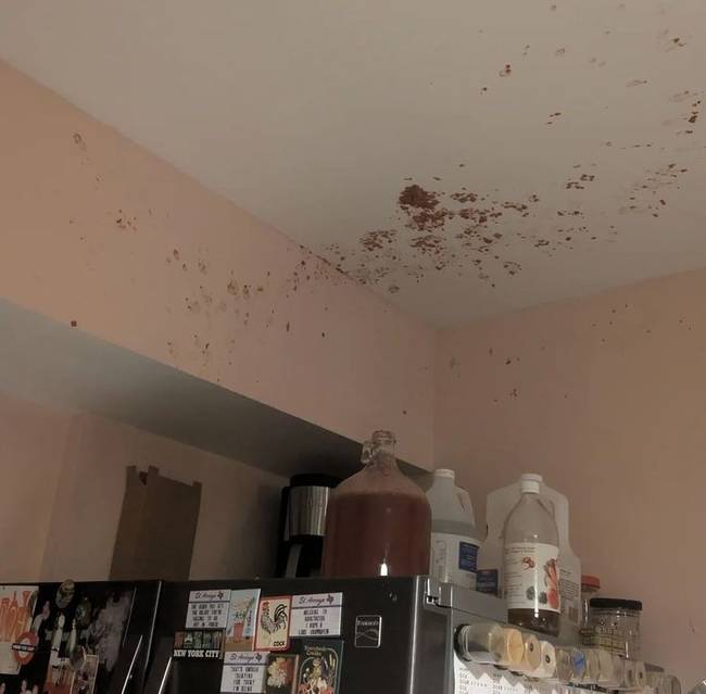 18 pillanat, amikor másodpercek alatt elszabadult a káosz