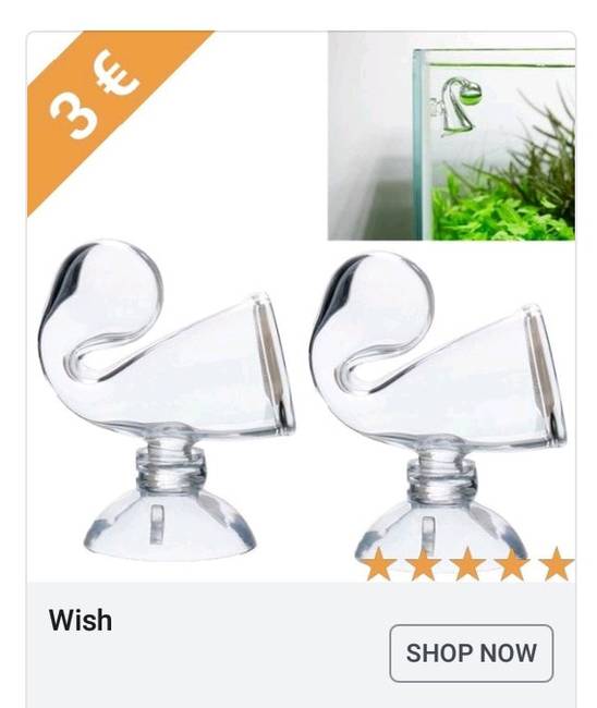 „Nyilvánvaló, hogy az akváriumhoz kapcsolódik, de miért?!"
