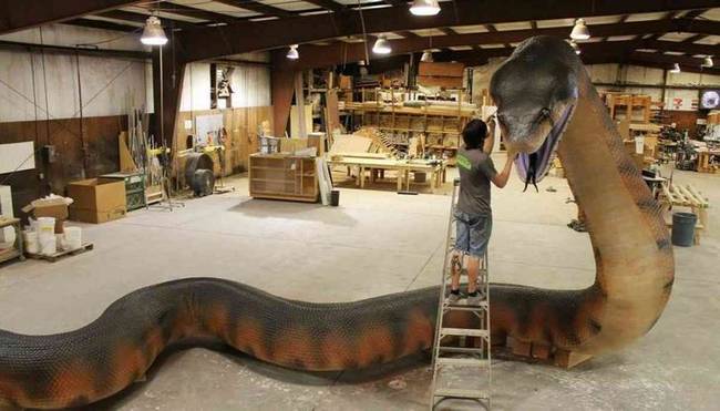Titanoboa