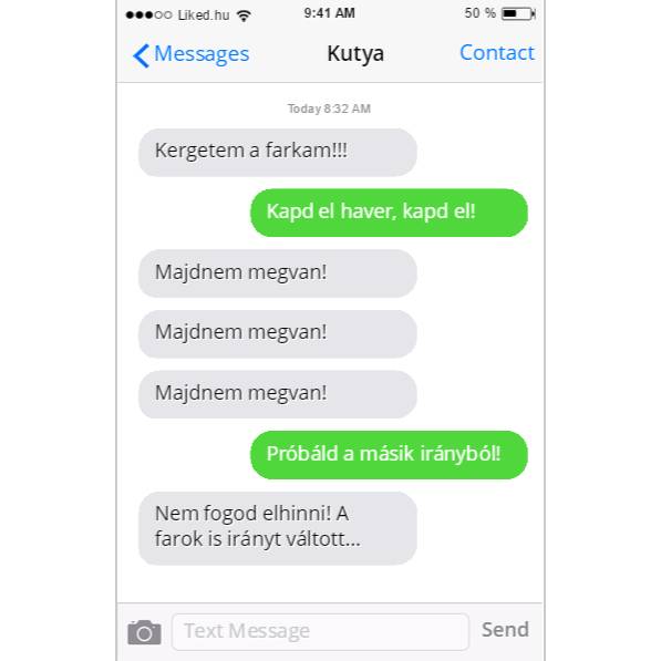 Egy örökké tartó küzdelem…