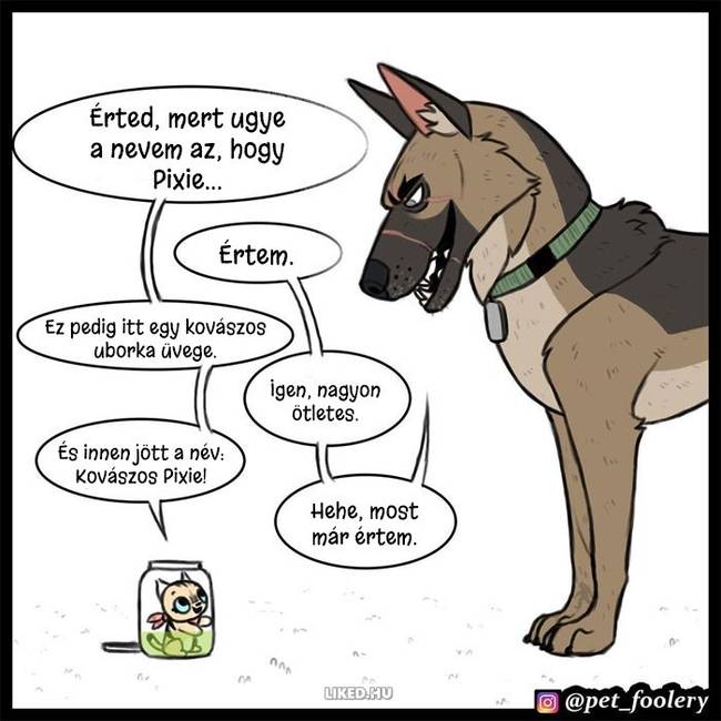 8 új ‘Pixie és Brutus’ képregény, ami segít bearanyozni a napod