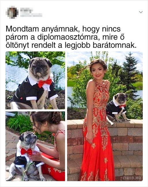 15 Tweet a női szolidaritásról, ami láthatatlanul teszi jobb hellyé ezt a világot