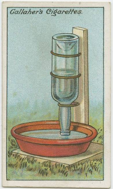 Hogyan készítsünk automata itatót kerti állatoknak.