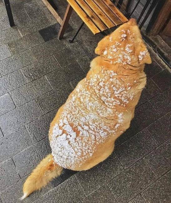 Milyen guszta porcukros kifli!