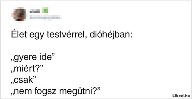 17 élethelyzet, ami jól mutatja, hogy milyen kiszámíthatatlan is a testvérek élete