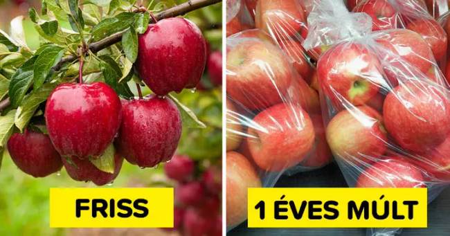Friss és régi almák
