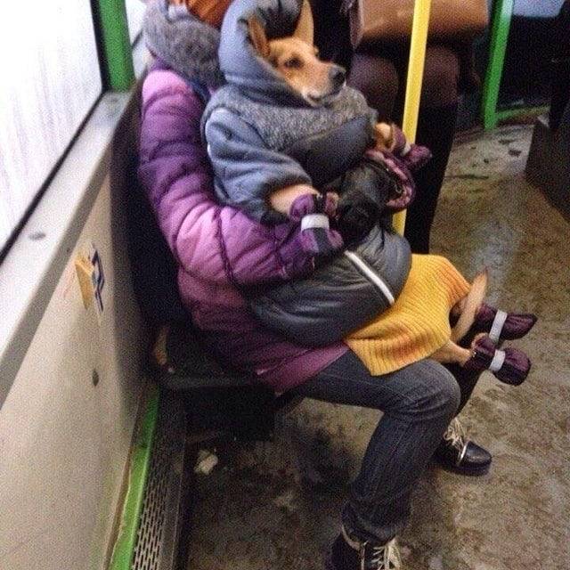 Lehet, hogy Oroszországban nagyon hideg van, de a nagymamák szíve továbbra is meleg.