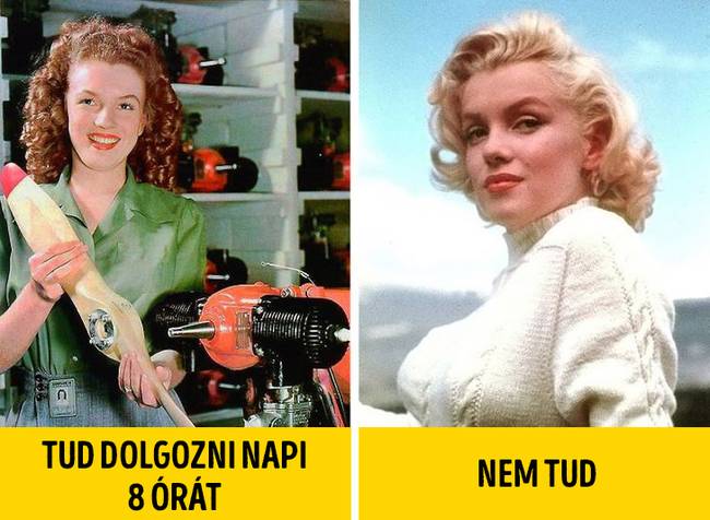 Nem tud dolgozn