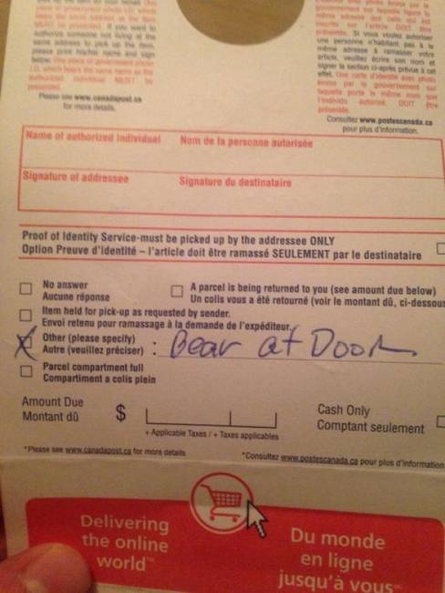 A postás nem tudta kézbesíteni a csomagot, mert egy medve volt az ajtóban.