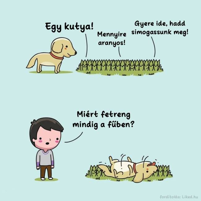 Ha Te is kíváncsi voltál, hogy miért.