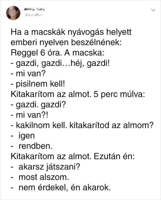 6 óra?! Cöhh. Lehetne rosszabb is.