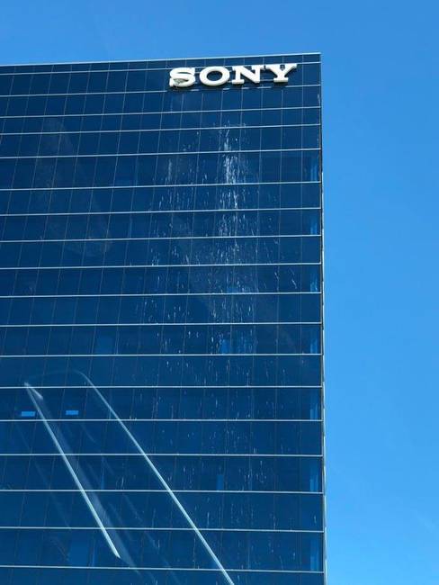 Valamilyen madár fészket rakott a Sony logó S-betűjének aljára.