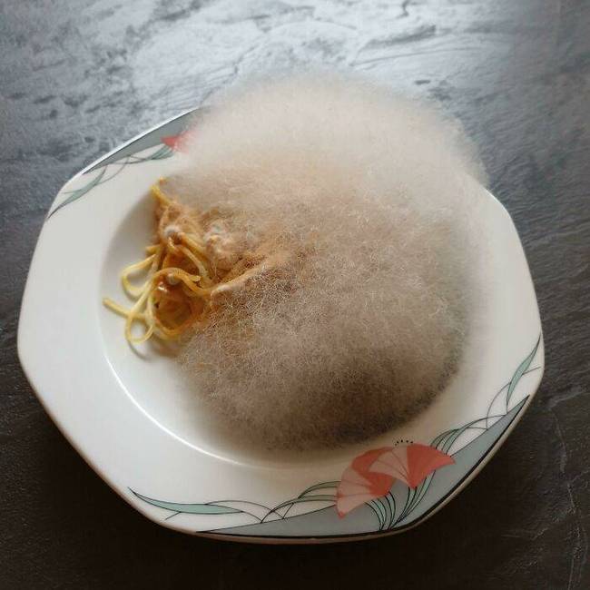 „A gombás spagettit egy hétre a mikróban felejtettem. Most pelyhes penészgomba borítja."