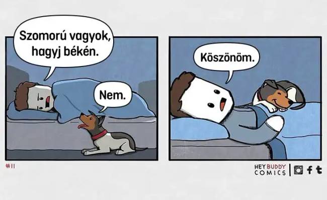 Békén hagyás
