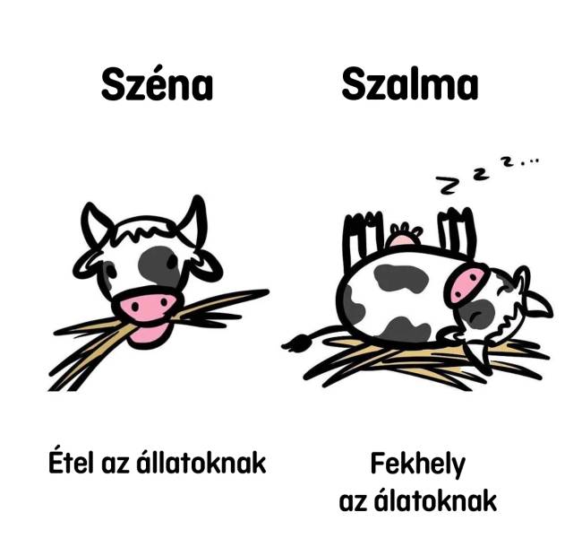Széna vs szalma