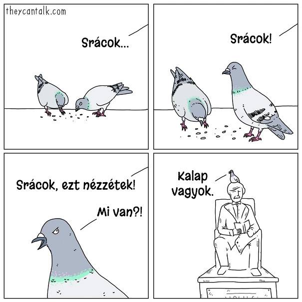 14 képregény, ami megmutatja, hogy milyen lenne a világ, ha a madarak beszélni tudnának