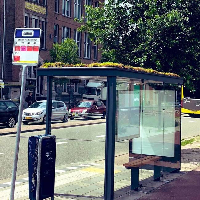 Méh-barát és levegőtisztító buszmegálló.