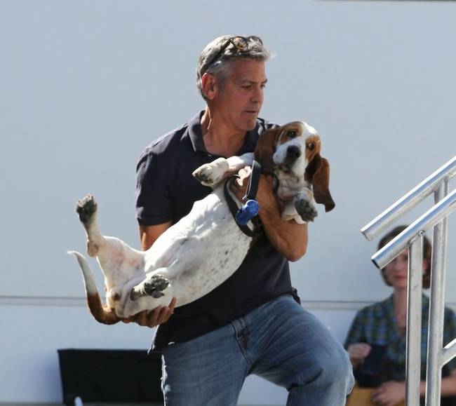 George Clooney