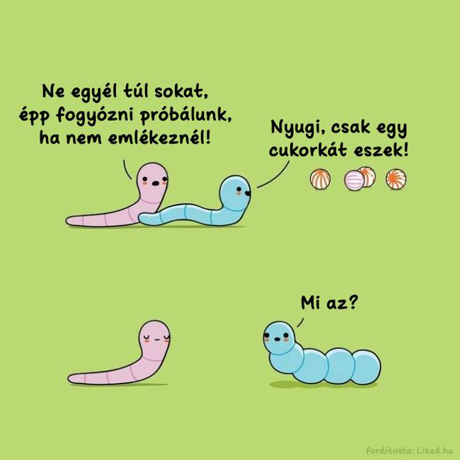„Mi az?"
